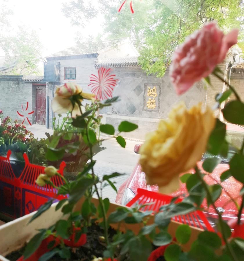 Hutong Impressions Beijing Guesthouse Dış mekan fotoğraf